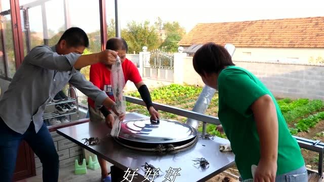 农村小遥买10元一斤的河蟹蒸河蟹时居然闹出这样的小状况有点小尴尬