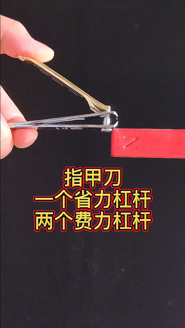 指甲刀的省力杠杆的支点在何处一个非常有争议的物理问题