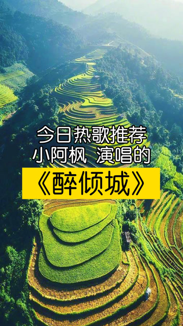 小阿枫演唱的歌曲《醉倾城》,今日热歌推荐