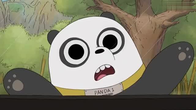 咱们裸熊:胖达被电视里的各种广告诱惑了!