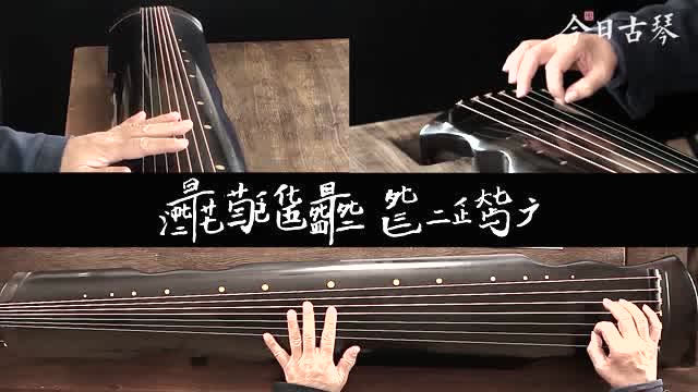 杨青教学问茶试看视频