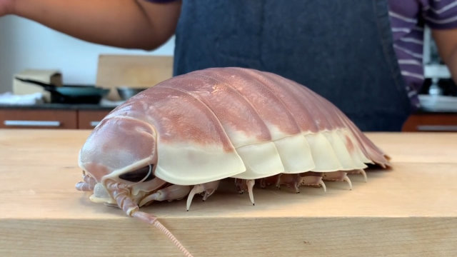 日本人口味有多重?"深海巨虱"都敢吃,不争气的泪水从嘴角滑落!