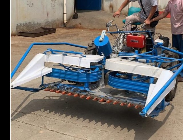 芦苇割捆机芦苇割晒机收割芦苇设备现场工作视频