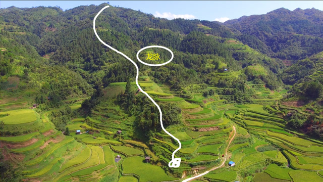 寻龙点穴,千里来龙看入首,看看正穴落哪处