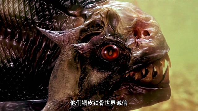 惊悚片:《食人鱼3d》一场地震把这恐怖的食人鱼释放出来