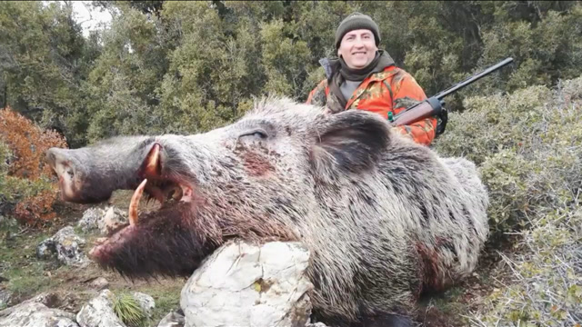 野猪王:以后看到他们就得掉头走,这下回不去了