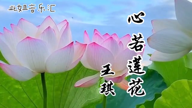 王琪的古风歌曲《心若莲花》听了让人心若止水,静若安澜