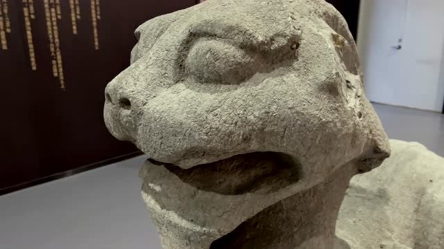 蚌埠广播电视台带你游览固镇县博物馆