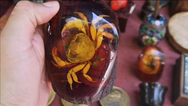 逛沈阳地摊,居然发现价值30万的螃蟹琥珀,捡漏价赶紧交钱走人 !