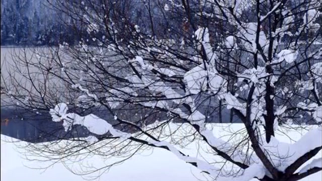 三套车hygyz-梦之旅