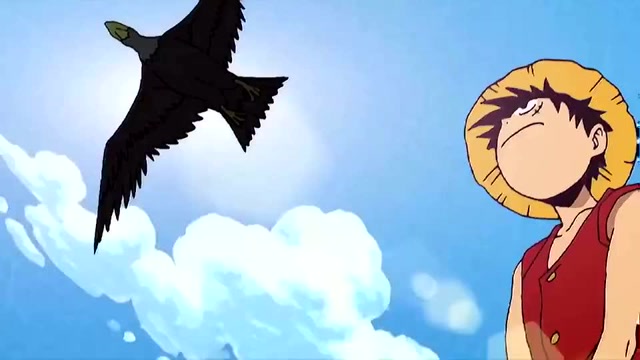 海贼王:路飞被海鸥抓住,索隆:他喊救命了么?没喊就不管他!