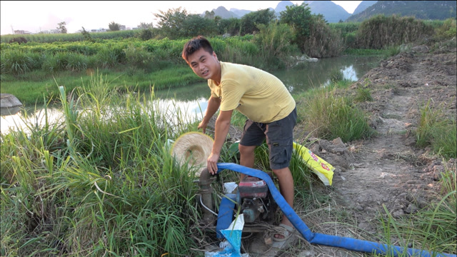 持续高温天气导致干旱,小伙用柴油机抽水灌溉农田,大家见过吗