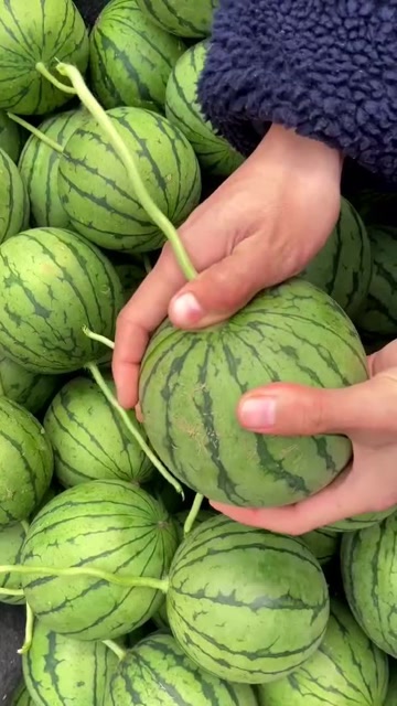 西瓜还能用手剥吗?高手果然在民间,想解渴根本不用刀子!