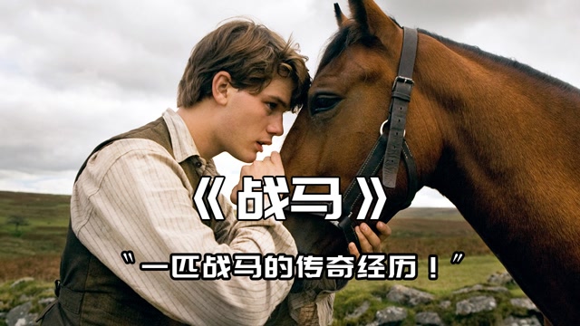 《战马》:一战真实故事改编,这是我看过最感人的战争电影!