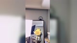 #永劫无间 #御姐 来振刀吗，虽然是一个人但也要过的充实