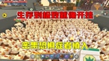 迷你世界：生存到极致就像开挂，半仙整理牧场密集恐惧症者慎入！