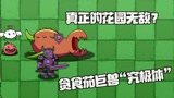 植物大战僵尸：贪食茄巨兽究极体！要无敌了？