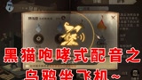 哈利波特魔法觉醒：黑猫式配音，乌鸦坐飞机之表哥我出来了哦！#哈利波特魔法觉醒