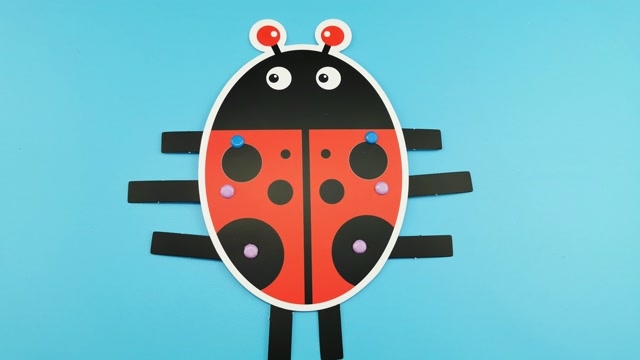 小霍金科学小制作材料包 diy手工 七星瓢虫