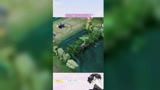 王者荣耀：瑶瑶的语音彩蛋
