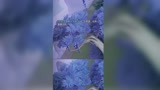 王者荣耀：记住了，出来混迟早要还的