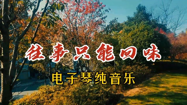 一首电子琴纯音乐往事只能回味dj版高音质非常好听