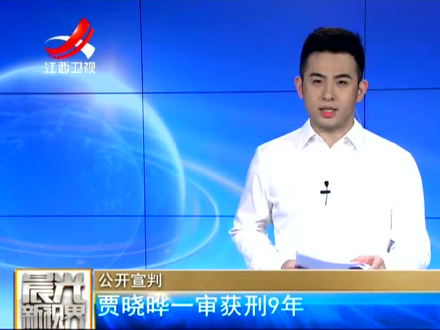 公开宣判:贾晓晔一审获刑9年
