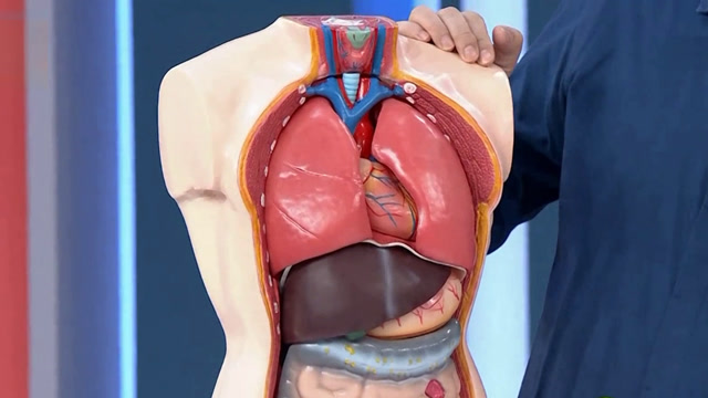 胸腺瘤位置图片图片
