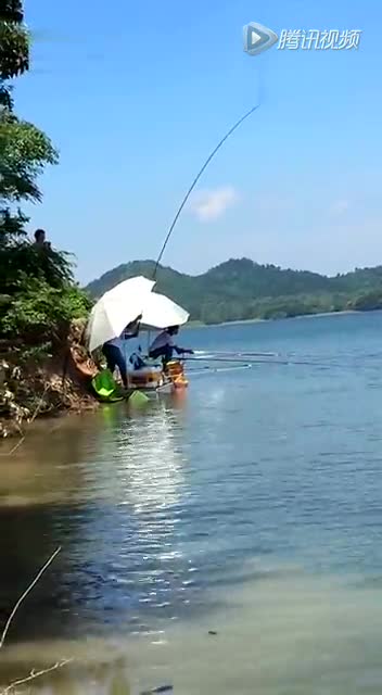 泼河水库台钓溜鲤鱼视频,一群钓鱼人