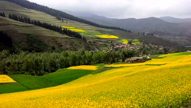 青海省 乐都区瞿昙镇药草台 风景