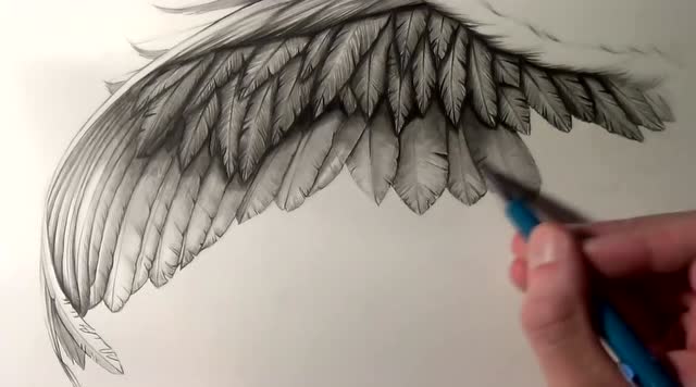 画一只逼真的素描翅膀 给你放飞梦想