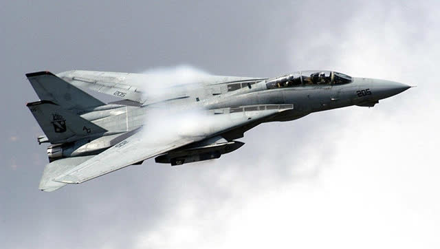 那些年非常经典的战机,f14"大熊猫"