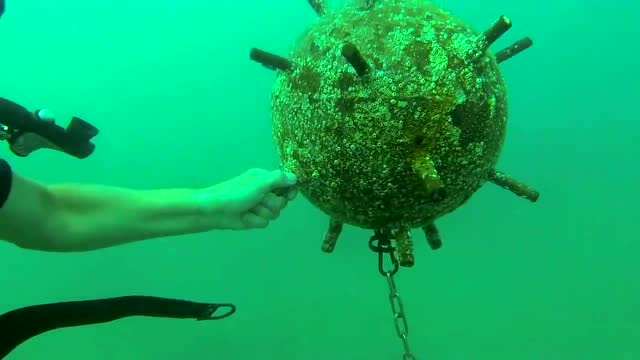 男子潜入海底,竟然发现二战时期遗留下来的水雷!