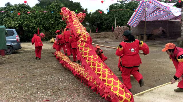 横县校椅横塘三山公祠庙会平均年龄超过60岁的奶奶舞龙队表演