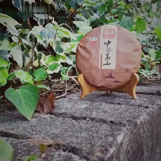 中茶牌广别老寨古树茶
