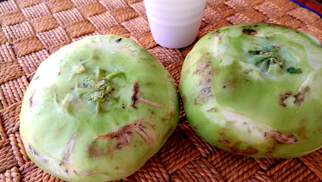 苤蓝-苤茢pielie丑的掉渣儿,却能腌制出美味鲜香的小咸菜