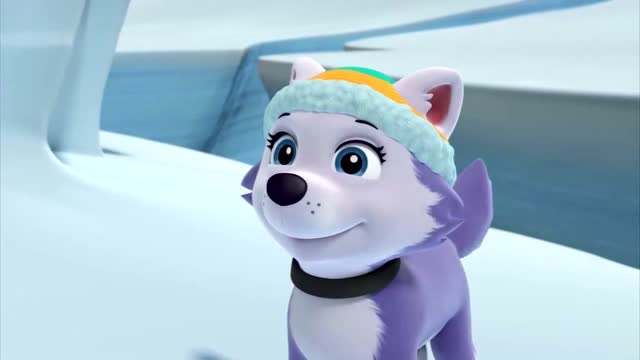 汪汪队立大功 希望能感知暴风雪来之前到