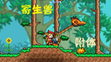 泰拉瑞亚 terraria 汉化版MOD 54 淡淡的忧伤！