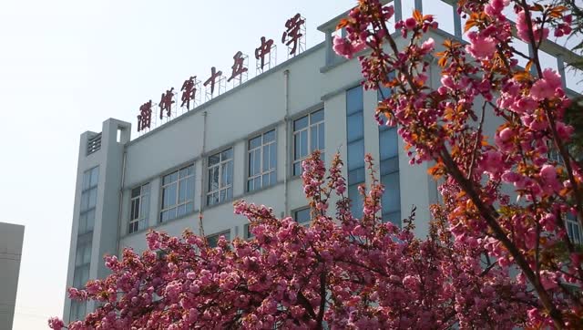 淄博十五中专题