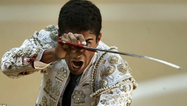 残忍!斗牛士完美的入剑,牛瞬间倒下,全场观众热烈欢呼