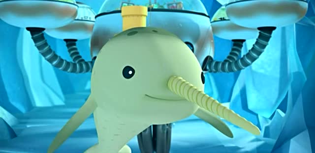 海底小纵队发现了独角鲸