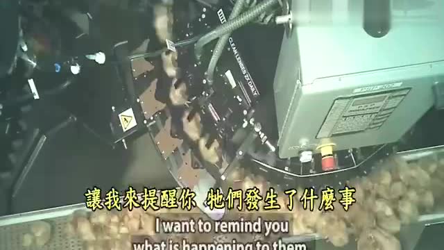 佛陀传