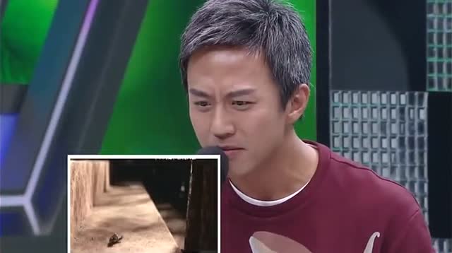 《快乐大本营》邓超给孙俪芈月配音,笑到肚子痛