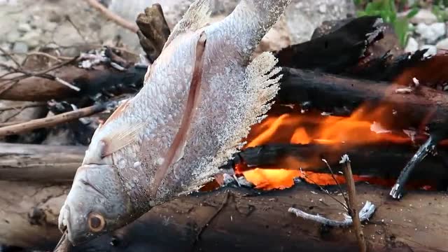 柴火烤鱼,这样烤的真的好好吃,你来你也可以的!