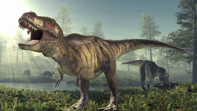 残暴的恶霸龙围攻犀角龙,场面非常激烈!