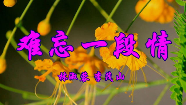 李茂山,林淑容《难忘一段情》百听不厌