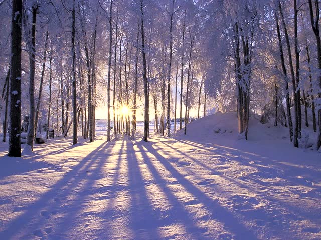 15种构图技巧讲座——透视牵引线构图