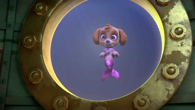 汪汪队:终于到了小人鱼狗 这下子有救了