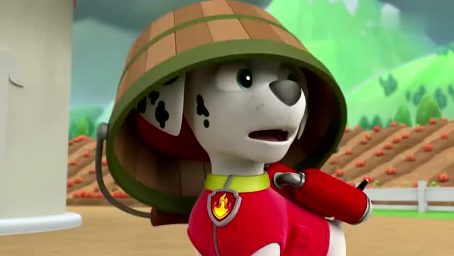 汪汪队立大功 看我小丽往前冲