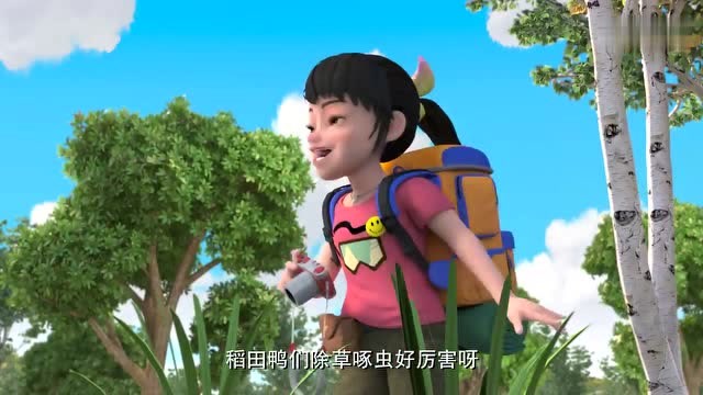 熊出没之探险日记:稻田鸭救了光头强和赵琳,他们帮助稻田鸭种水稻